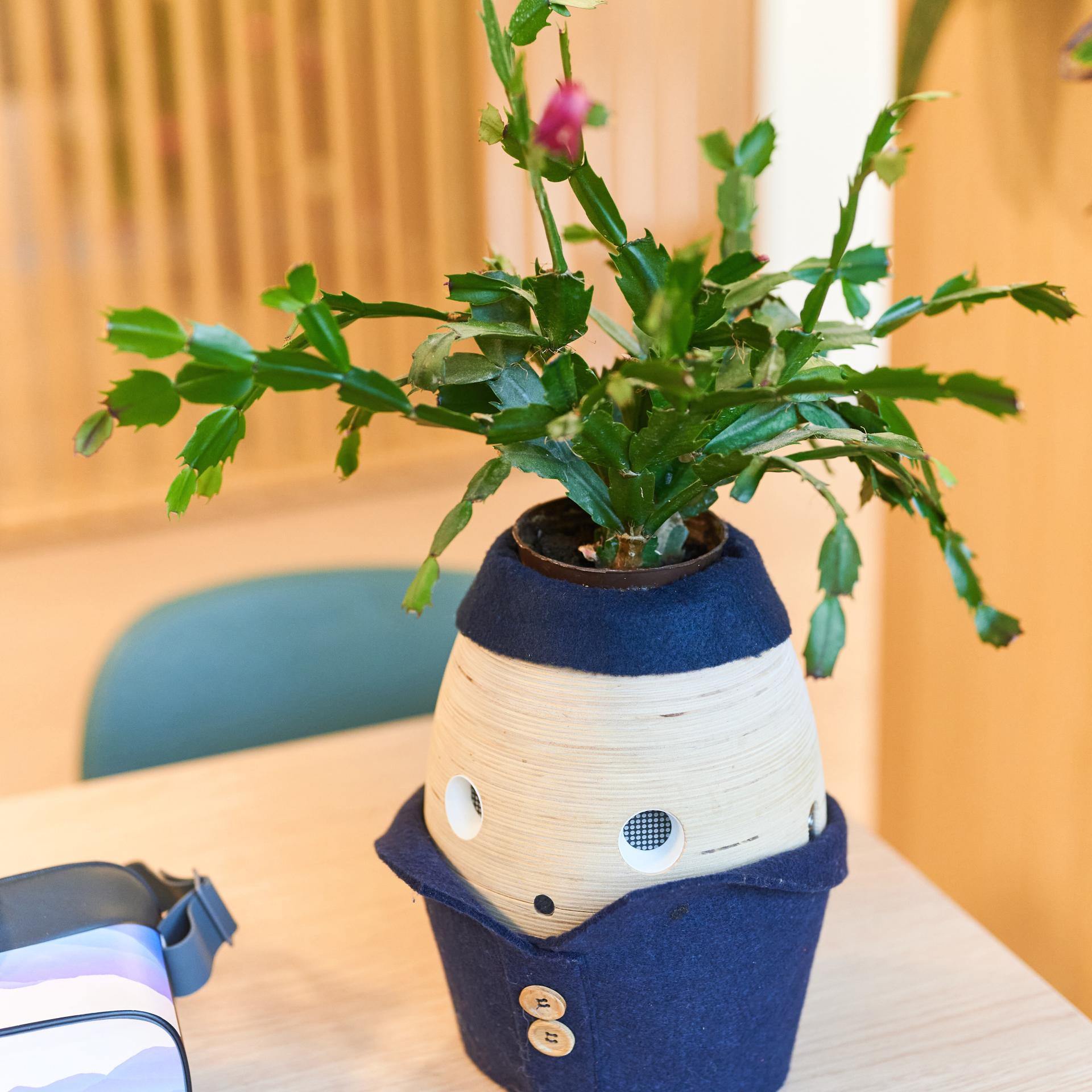 Bloempot
