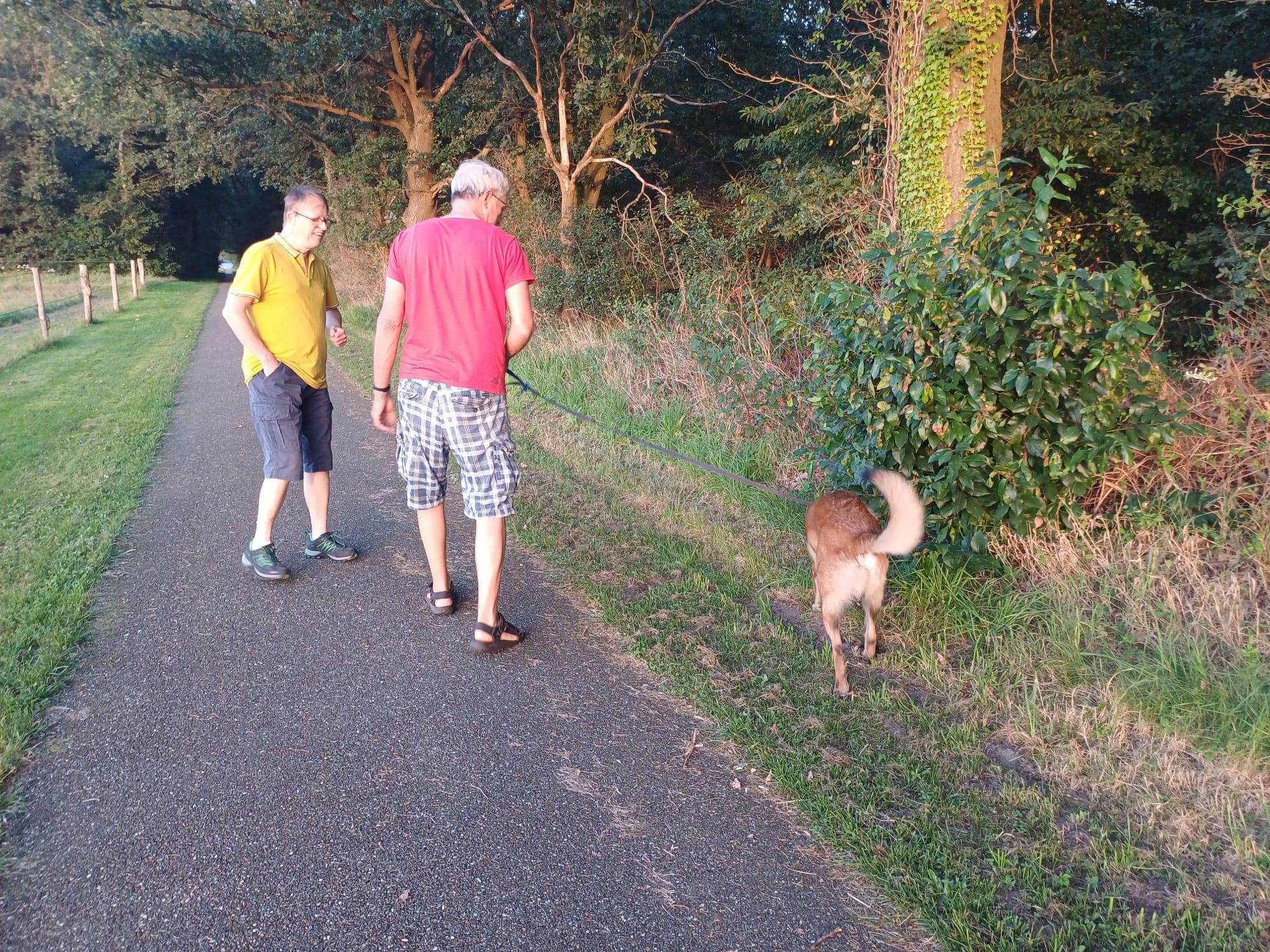 wandelen met de hond